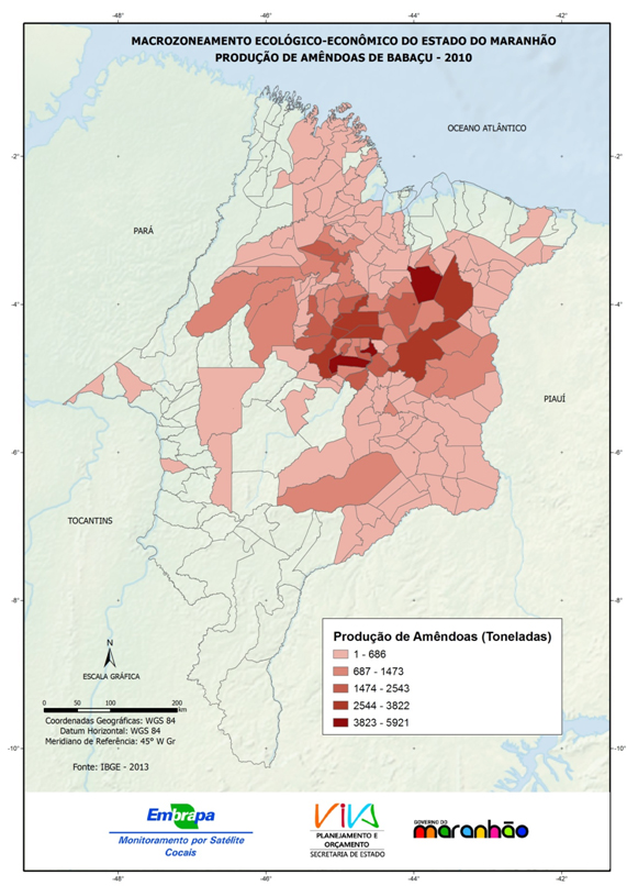 Produção de amêndoas de babaçu no Estado do Maranhão para o ano de 2010